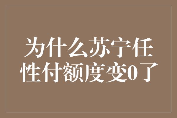 为什么苏宁任性付额度变0了