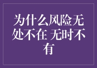 为什么风险无处不在 无时不有：探究风险的根源与应对策略