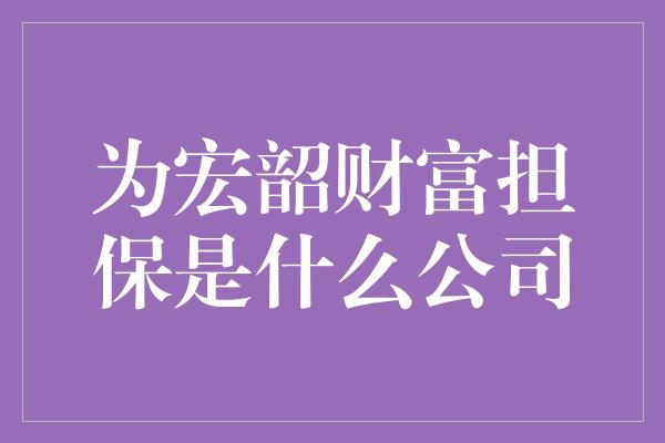 为宏韶财富担保是什么公司