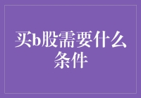 b股市场的淘金之旅：你需要知道的条件与技巧