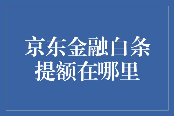 京东金融白条提额在哪里