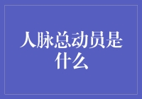 人脉总动员：构建高效人脉网络的战略与方法