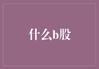 B股市场：一个被遗忘的投资天堂？