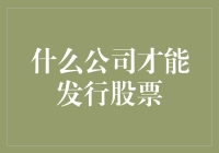 什么公司才能发行股票？注册资金与盈利要求的解析