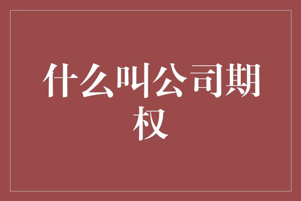 什么叫公司期权