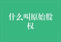 什么是原始股权：企业成长的基石