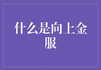 向上金服：金融界的灵魂捕手