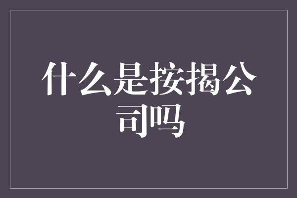 什么是按揭公司吗