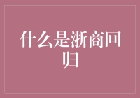 浙商回归：一群浙江企业家带着大包小包的财富回家乡