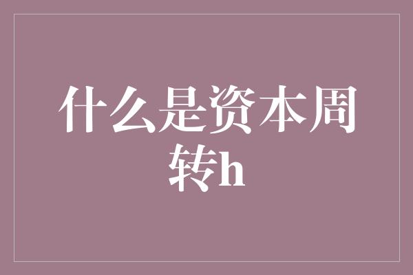 什么是资本周转h