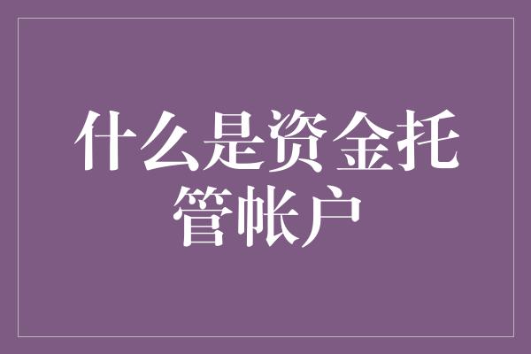 什么是资金托管帐户