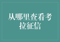 探索考拉征信：如何有效查询您的信用记录