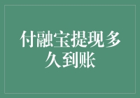 付融宝提现：从等待到到账的奇幻之旅