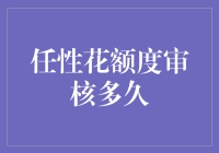 任性花额度审核多久？探究信用评估背后的故事