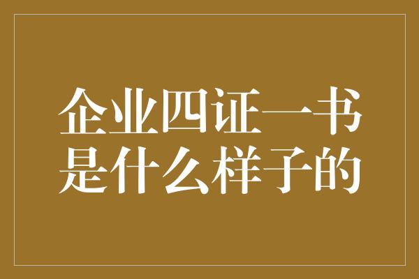 企业四证一书是什么样子的