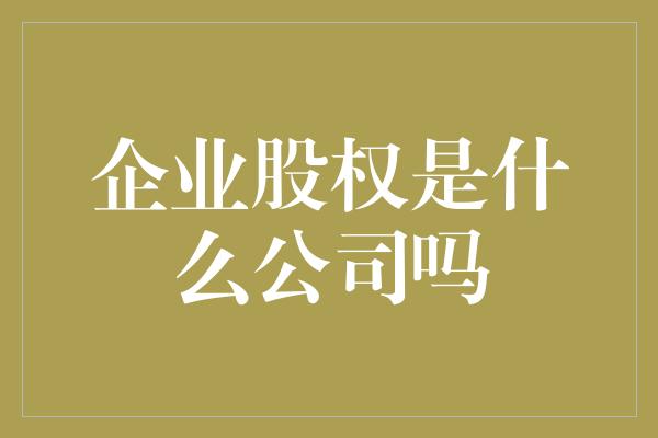 企业股权是什么公司吗