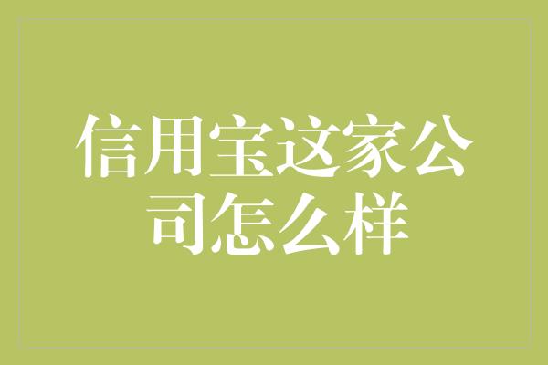 信用宝这家公司怎么样