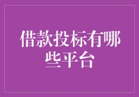 借款投标平台：构建高效资金匹配与风险控制的综合平台