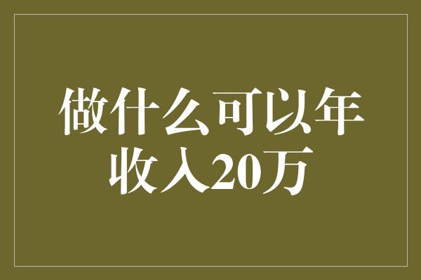 做什么可以年收入20万