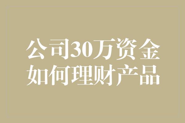 公司30万资金如何理财产品