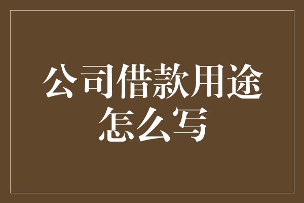 公司借款用途怎么写