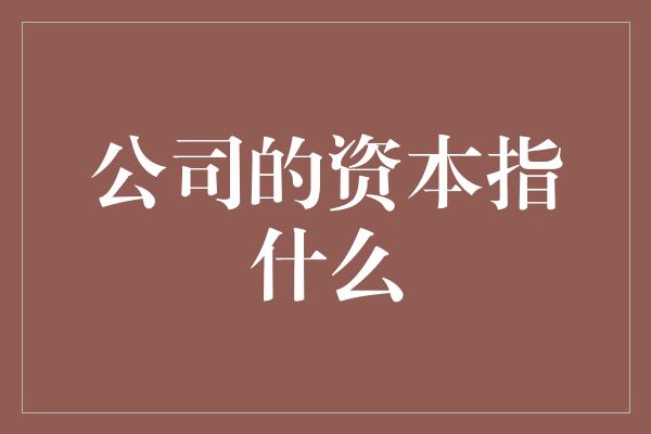 公司的资本指什么