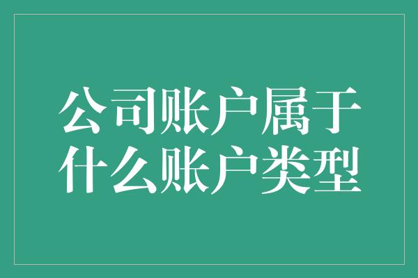 公司账户属于什么账户类型