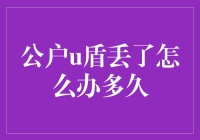 亲测有效！公户U盾丢失怎么办？看这里！