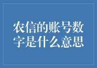 农信银行账户数字背后的秘密：数字编码的多维解读