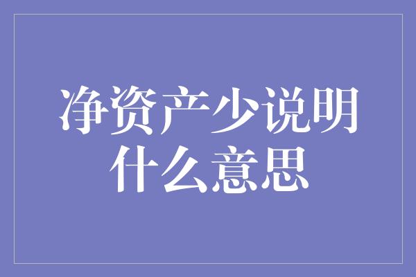 净资产少说明什么意思