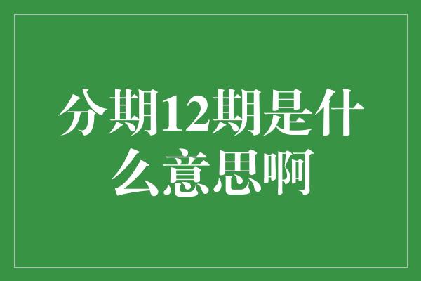 分期12期是什么意思啊