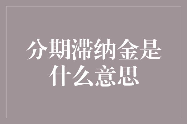 分期滞纳金是什么意思