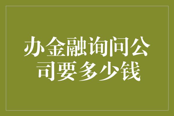 办金融询问公司要多少钱