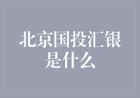 北京国投汇银：引领中国投融资行业的新风向标