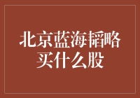 北京蓝海韬略投资策略：深度剖析企业价值与市场动向