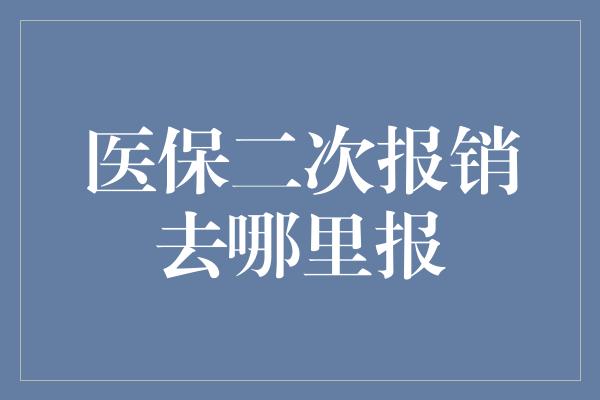 医保二次报销去哪里报