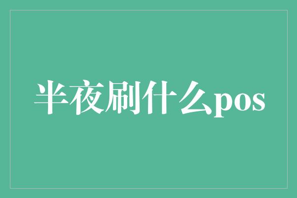 半夜刷什么pos