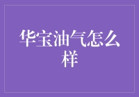 华宝油气投资策略深度解析：揭示其背后的逻辑与风险