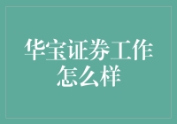 华宝证券：卓越职场的典范与个人成长的摇篮