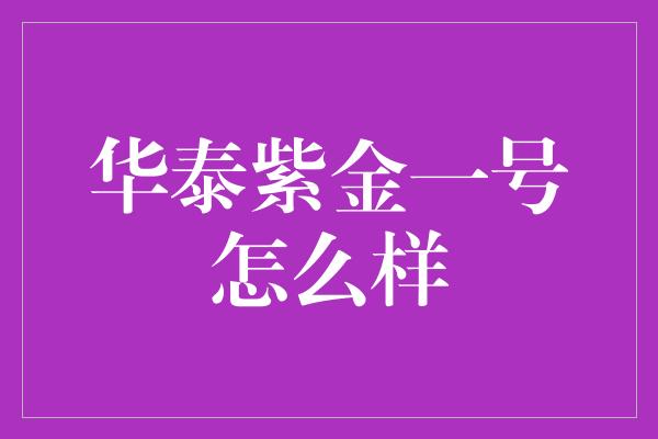 华泰紫金一号怎么样