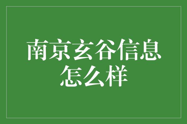 南京玄谷信息怎么样