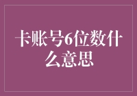 探讨卡账号中的神秘六位数字：含义与应用