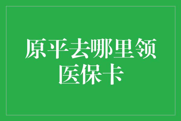 原平去哪里领医保卡