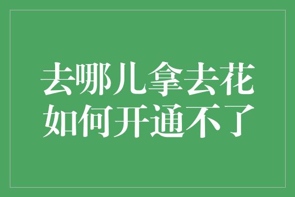 去哪儿拿去花如何开通不了