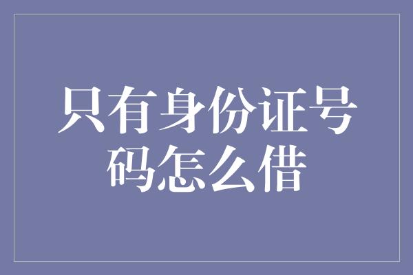 只有身份证号码怎么借