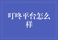 叮咚平台：菜篮子的守护神，还是迷路的探险家？