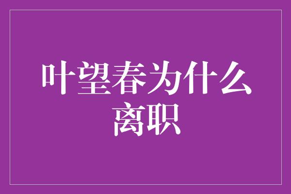 叶望春为什么离职