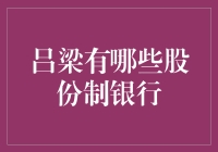 吕梁市股份制银行发展现状分析