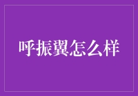 从呼振翼到呼叫机翼：一场关于飞行梦想与现实的幽默冒险