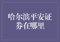 哈尔滨平安证券的地理位置与服务功能解析